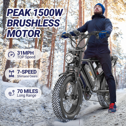 Vifaway BK20 Fat Tire Electric Dirt Bike for Adults 48V 15.6AH Battery 750W Brushless Motor-US