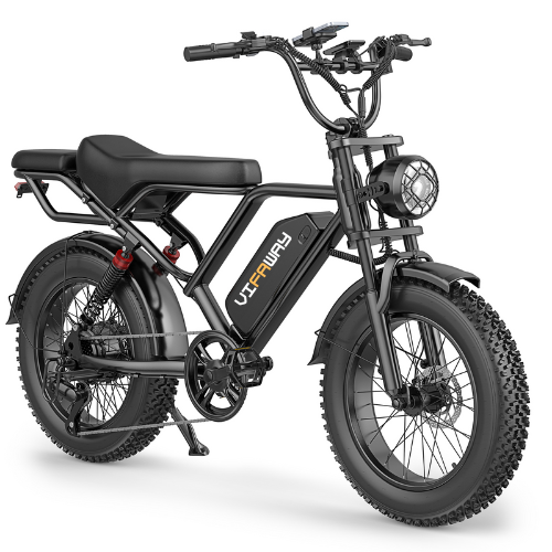 Vifaway BK20 Fat Tire Electric Dirt Bike for Adults 48V 15.6AH Battery 750W Brushless Motor-US