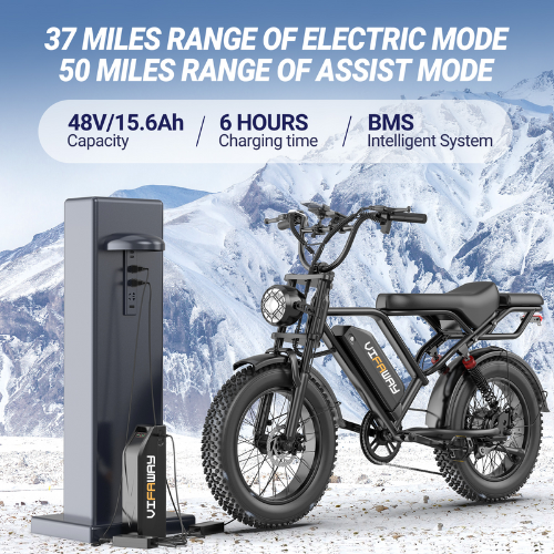 Vifaway BK20 Fat Tire Electric Dirt Bike for Adults 48V 15.6AH Battery 750W Brushless Motor-US