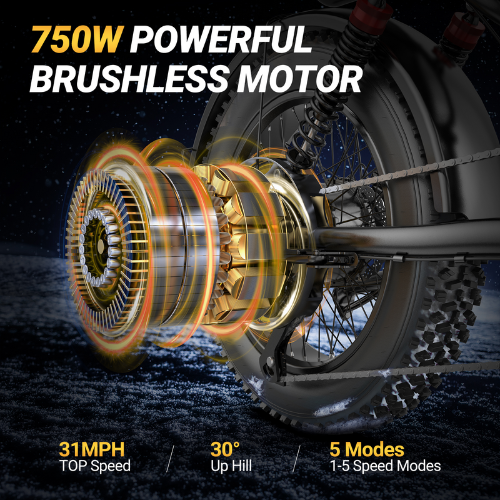 Vifaway BK20 Fat Tire Electric Dirt Bike for Adults 48V 15.6AH Battery 750W Brushless Motor-US