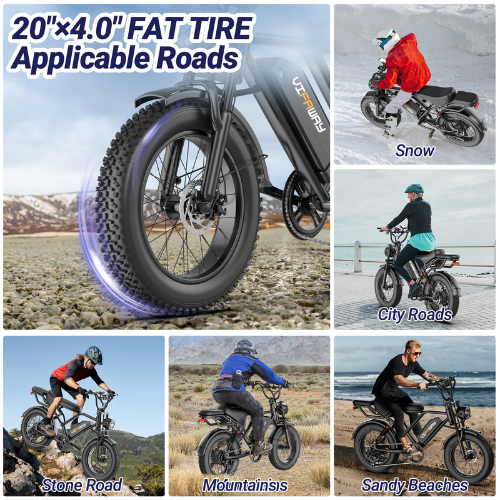 Vifaway BK20 Fat Tire Electric Dirt Bike for Adults 48V 15.6AH Battery 750W Brushless Motor-US